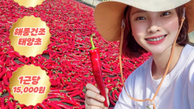 🌶️고추5근 솔직 후기! 싸게 사는 꿀팁 대방출!🌶️