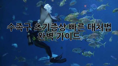 수족구 초기증상: 빠른 대처법 완벽 가이드